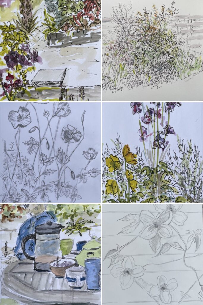 Outdoor sketching at Shona’s 6 May 2025